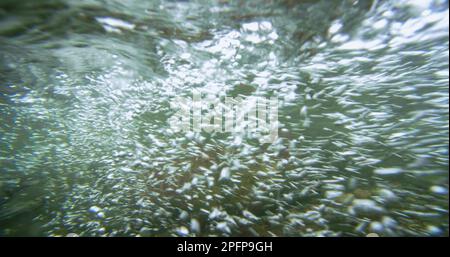 L'impatto dell'acqua del fiume ha prodotto molte piccole bolle bianche. Migrazione dei salmoni dell'Alaska: Un viaggio pieno di sfide e meraviglie. STATI UNITI., 2017 Foto Stock