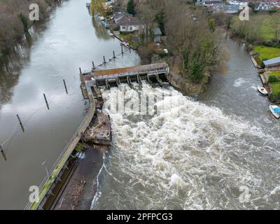 Weir sul Tamigi a Wheatleys Eyot, Sunbury-on-Thames, Surrey, Regno Unito. Foto Stock