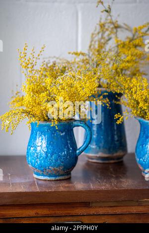 Bouquet di fiori di Mimosa in vaso di ceramica blu su parete bianca a casa. Deambata di acacia, primavera. Foto Stock