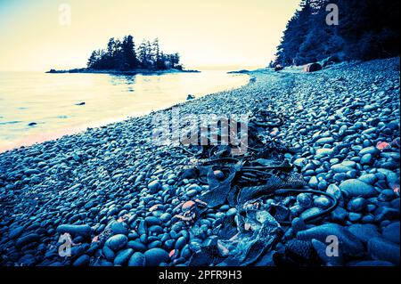 Vista di Magic Island dalla spiaggia coperta di pietra e dalle alghe, l'area ricreativa di Halibut Point vicino a Sitka, Alaska, Stati Uniti. Foto Stock