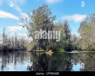 Segnavia per canoa e kayak nella riserva naturale nazionale di Okefenokee Swamp. Foto Stock