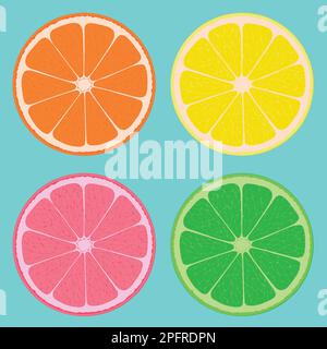 Arancia, limone, pompelmo e lime. Tagliare la frutta. Quattro fette di agrumi. Illustrazione Vettoriale