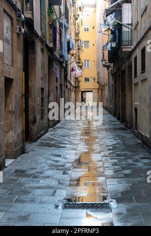 Scoprite la miscela unica di culture nel cuore del quartiere Raval di Barcellona, Spagna Foto Stock