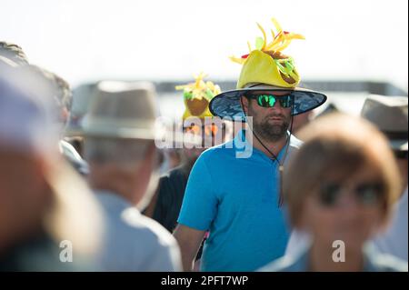 Spettatore durante la Mobil 1 dodici ore di Sebring 2023, 2nd° round del Campionato sportivo IMSA 2023, dal 15 al 18 marzo 2023 sull'autodromo Sebring International Raceway di Sebring, Florida, USA - Foto: Jan-patrick Wagner/DPPI/LiveMedia Foto Stock