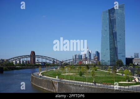 Hafenpark am Main e Banca centrale europea, Hafenpark, Banca centrale europea, Deutschherrnbruecke, edifici di alto livello, Ostenda, meno, Francoforte Foto Stock