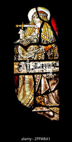Vetrate medievali, St. Agnes, con il pugnale alla gola, con un agnello, Sandringham Parish Church, Norfolk, Inghilterra, REGNO UNITO Foto Stock