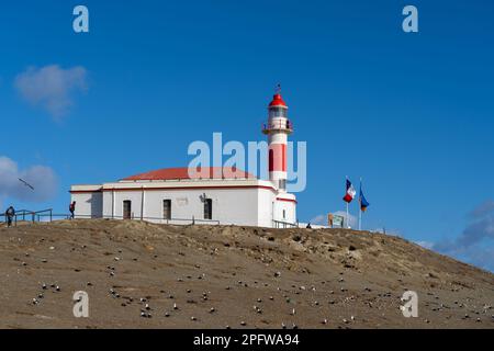 Un faro sull'isola di Magdalena, Punta Arenas, Cile. L'isola di Magdalena è uno dei più grandi siti di nidificazione dei pinguini magellanici del Cile. Foto Stock