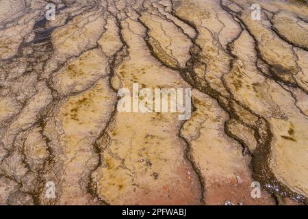 Primo piano di terrazzi di sinterizzazione nel campo geyser di El Tatio, Cile. Foto Stock