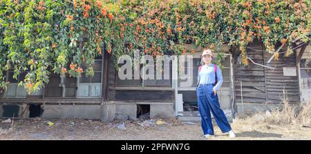 La fioritura della pirostegia venusta e la vecchia casa a Yunlin, Taiwan Foto Stock