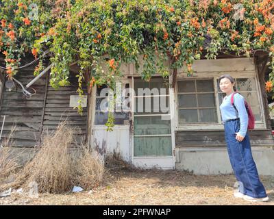 La fioritura della pirostegia venusta e la vecchia casa a Yunlin, Taiwan Foto Stock