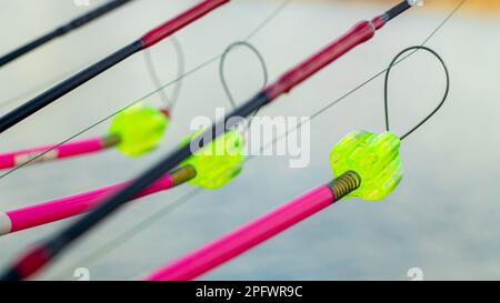 L'allarme morso si blocca su una canna da pesca contro lo sfondo dell'acqua. Canna da pesca mentre la pesca sul lago, fiume. Attrezzatura da pesca. Asta di carpa su una sta Foto Stock