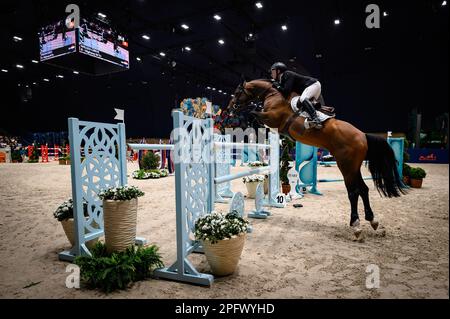 Willem Greve gareggia nel Saut Hermes Jumping CSI 5 al Grand Palais Ephemere il 18 marzo 2023 a Parigi, in Francia. Foto di Laurent Zabulon/ABACAPRESS.COM Credit: Abaca Press/Alamy Live News Foto Stock