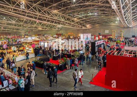 Italia Piemonte Torino Festival dell'Oriente 2023 Credit: Realy Easy Star/Alamy Live News Foto Stock