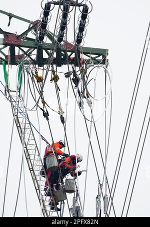 Birkenwerder, Germania. 02nd Mar, 2023. Due montatori di linee aeree di EQOS Energie si preparano per installare i fili di tipo su un pilone ad alta tensione. Credit: Soeren Stache/dpa/Alamy Live News Foto Stock