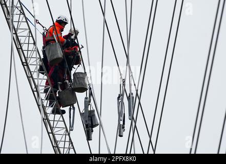 Birkenwerder, Germania. 02nd Mar, 2023. Due montatori di linea sospesi di EQOS Energie si trovano sul filo di un pilone ad alta tensione. Credit: Soeren Stache/dpa/Alamy Live News Foto Stock