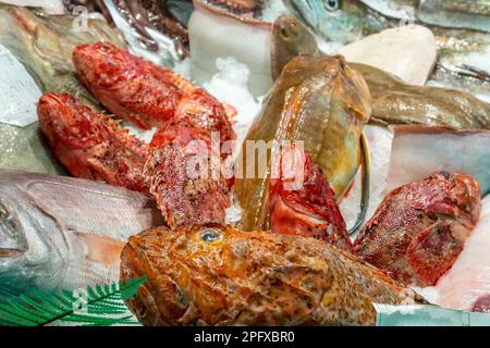 Triglie rosse e altri pesci in vendita in un mercato a Barcellona, Spagna Foto Stock