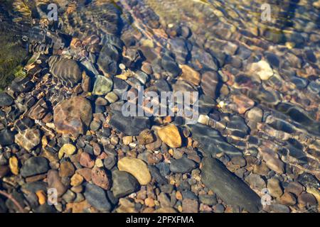 Vista attraverso di loro, acqua chiara di un basso flusso di pietre e rocce sul letto del torrente Foto Stock