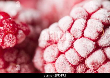 Studio primo piano di lamponi congelati con uno strato di ghiaccio che li ricopre. Foto Stock