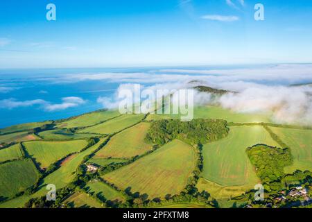 Golden Cap, Chideock, Dorset, Inghilterra, Regno Unito, Europa Foto Stock