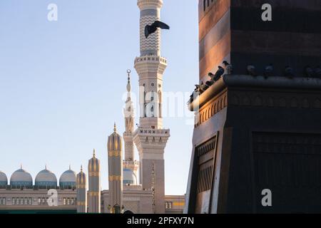 MECCA, ARABIA SAUDITA: 8 MARZO 2023. Un piccione vola alla Mecca vicino alla moschea di al Masjid al Haram, Mecca, Arabia Saudita Foto Stock