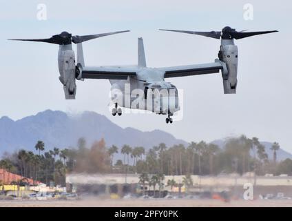 Un Marine Corps MV-22 Osprey tilt-rotore aerei di atterraggio a MCAS Yuma. Questo MV-22 appartiene a VMX-1 squadron. Foto Stock