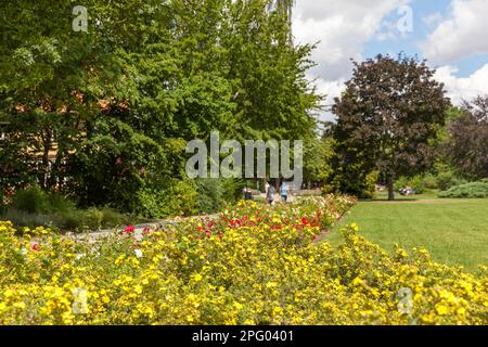 Impressioni dalla Città Patrimonio Mondiale dell'Umanità di Quedlinburg Harz Mountains Foto Stock