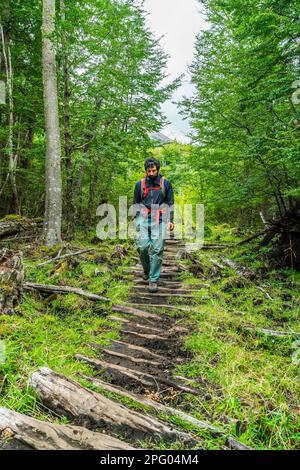 Uomo che cammina su un sentiero fatto di vecchie tavole di legno per la laguna a Cerro Castillo montagna, Cerro Castillo Parco Nazionale, Aysen, Patagonia, Cile Foto Stock