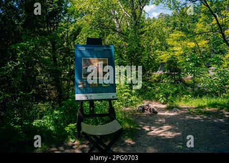 Cascate di Chippewa ad Algoma, Ontario, Canada. . Foto di alta qualità Foto Stock