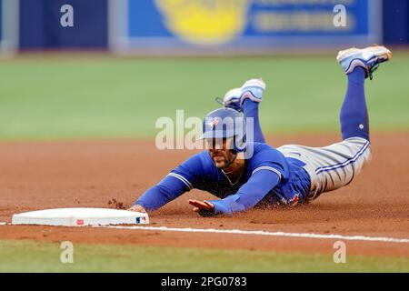 19 marzo 2023, St Petersburg, FL USA; George Springer (4), centrocampista dei Toronto Blue Jays, scorre in sicurezza nella base durante una primavera di mlb traini Foto Stock