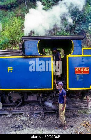 Il treno a vapore Nilgiri Mountain Railway a Nilgiris Tamilnadu, India meridionale, Asia Foto Stock