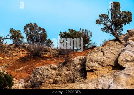 Caratteristiche di roccia arenaria rossa, che mostra la tessitura interessante, pozzi, segni di pock, erosione di vento e acqua, fessure, bordi lisci, albero crescente pinna le rocce Foto Stock