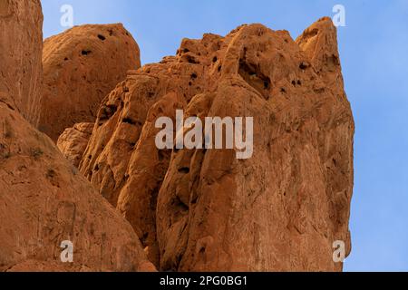 Caratteristiche di roccia arenaria rossa, che mostra la tessitura interessante, pozzi, segni di pock, erosione di vento e acqua, fessure, bordi lisci, albero crescente pinna le rocce Foto Stock