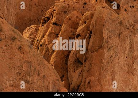 Caratteristiche di roccia arenaria rossa, che mostra la tessitura interessante, pozzi, segni di pock, erosione di vento e acqua, fessure, bordi lisci, albero crescente pinna le rocce Foto Stock