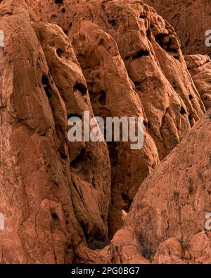 Caratteristiche di roccia arenaria rossa, che mostra la tessitura interessante, pozzi, segni di pock, erosione di vento e acqua, fessure, bordi lisci, albero crescente pinna le rocce Foto Stock