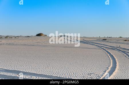 Tracce lasciate dalle auto sulla sabbia del deserto ad al Adaid in Qatar Foto Stock