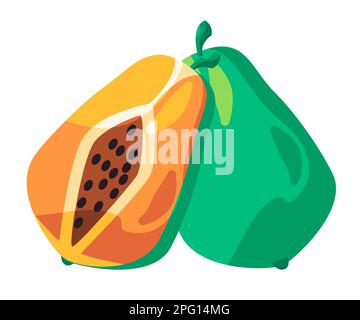 Papaya affettato frutta arancione disegno asiatico illustrazione Illustrazione Vettoriale