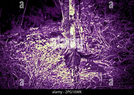 Vecchia giacca propped su alberi arti accanto Blue Lake strada che si snoda attraverso la Tongass National Forest al lago, diga e Forest Service campeggio. Foto Stock