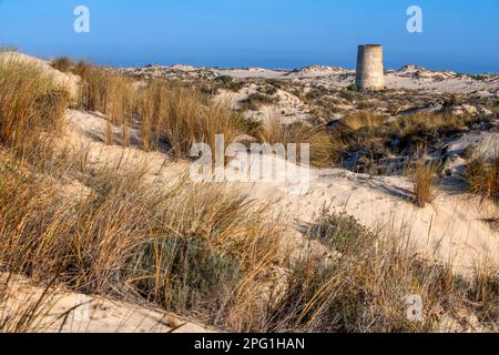 Torre Carbonero nel Parco Nazionale del Parque Nacional de Doñana, Almonte, provincia di Huelva, Regione Andalusia, Spagna, Europa. Torre Carbonero, il Foto Stock