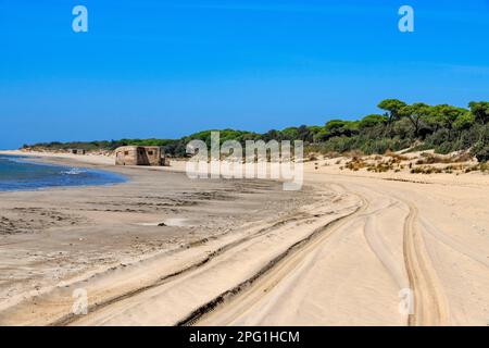 Guerra civile spagnola cemento bunker, Parco Nazionale di Sanlucar de Barrameda Parque Nacional de Doñana, Almonte, provincia di Huelva, Regione Andalusia, Spagna Foto Stock