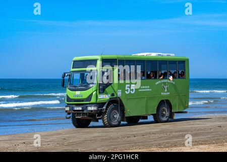 Tour guidato in autobus turistico nel Parco Nazionale del Parque Nacional de Doñana, Almonte, provincia di Huelva, regione dell'Andalusia, Spagna, Europa Foto Stock