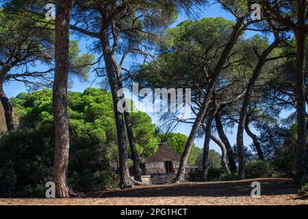 Le capanne centenarie del Parco Nazionale del Parque Nacional de Doñana, Almonte, provincia di Huelva, Regione Andalusia, Spagna, Europa. Le capanne di Doñana sono una Foto Stock