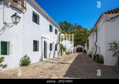 Monasterio De Nuestra Señora De la Sierra, Hornachuelos, Cordoba, Andalusia, Spagna. Il Carmelo de San Calixto fu fondato da Santa Maravillas de Jes Foto Stock