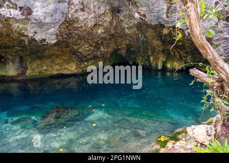 Tulum, Quintana Roo, Messico, Cenote Sacro presso il sito archeologico Maya precolombiano di Chichen Itza Foto Stock