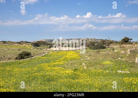 il tempio e sito archeologico di mnajdra è un sito patrimonio dell'umanità dell'unesco di malta Foto Stock