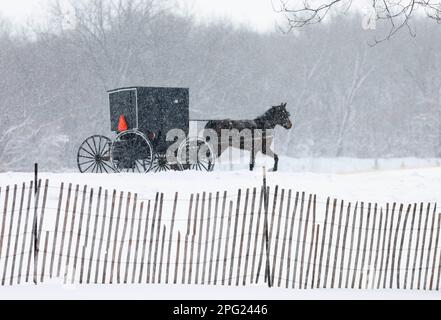 Amish buggy su strada innevata. Foto Stock