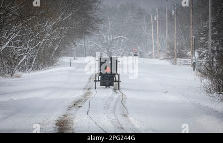 Amish buggy su strada innevata. Foto Stock