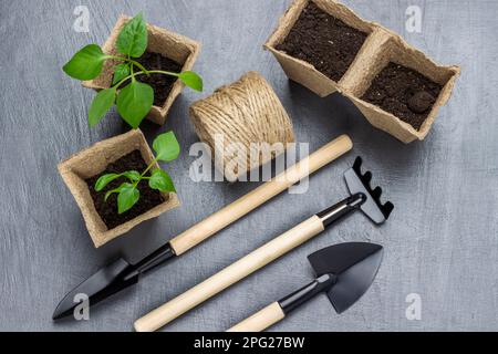 Pentole di torba con terreno e piantine, attrezzi da giardino e una bobina di corda di iuta. Giacitura piatta. Sfondo grigio. Foto Stock