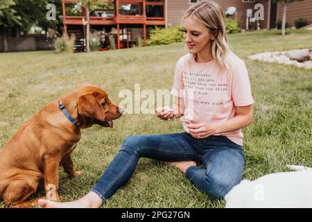 La femmina siede sull'erba nel cortile posteriore giocando con due cani labrador Foto Stock