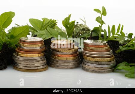 Tre pile di monete, circondate da terreno (terreno in crescita) e nuove foglie di piante verdi (crescita di recupero) Foto Stock