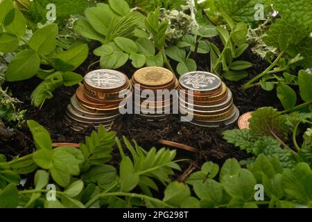 Tre pile di monete, circondate da terreno (terreno in crescita) e nuove foglie di piante verdi (crescita di recupero) Foto Stock